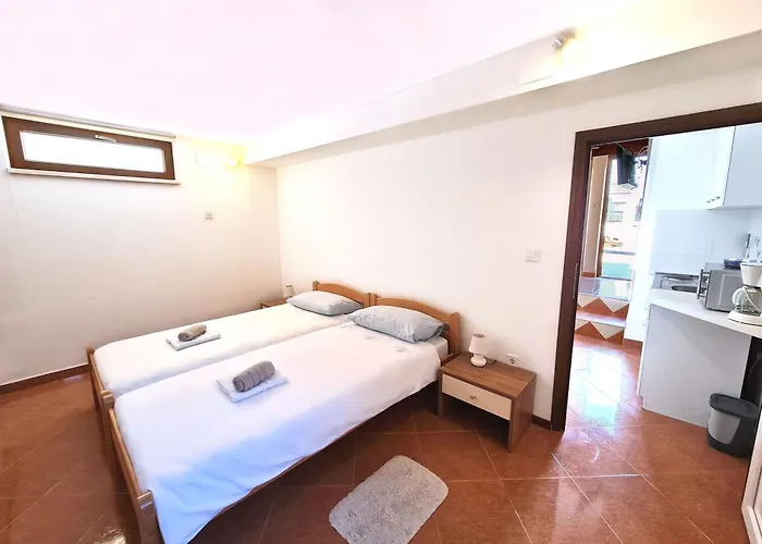 アパート Dina ロヴィンスコ・セロ